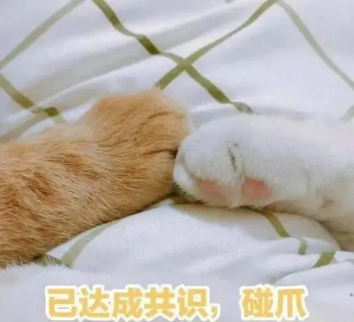 夏至这天应该吃些什么？-夏至这天应该吃些什么?
