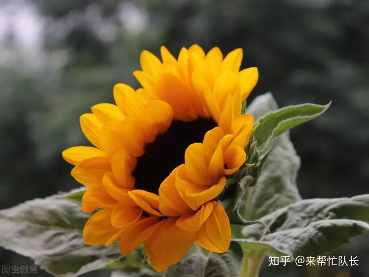 夏至养生怎样吃？夏季养阳，重在“养心”！-夏至养生吃什么食物窍门最好