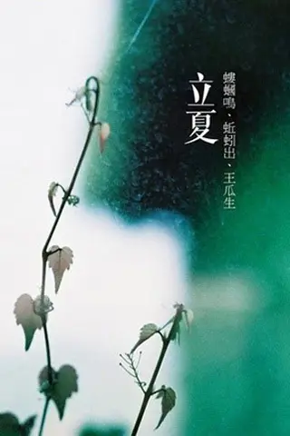 24节气对应吃什么食物？-二十四节气吃什么好