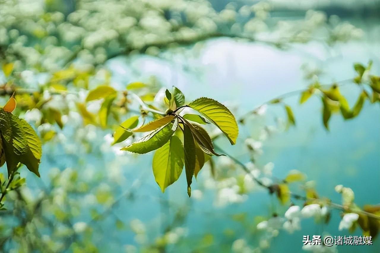 网络中国节·端午 | 10首关于端午节的诗词，你知道多少？-关于端午节的诗有哪些诗句三年级下册