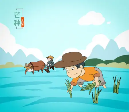 今年芒种不一般，老话说：“芒种节气有三怕”，到底怕什么？-芒种节气什么意思