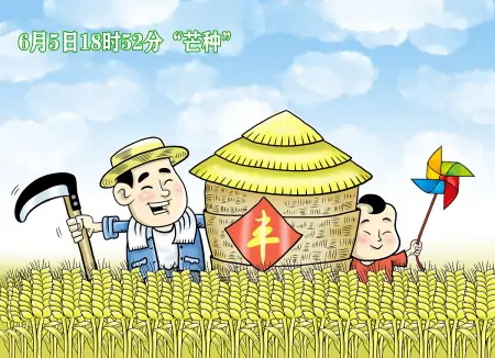 今年芒种不一般，老话说：“芒种节气有三怕”，到底怕什么？-芒种节气什么意思