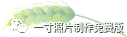 手机拍摄照片免费证件照制作（手机拍摄照片免费证件照制作app）