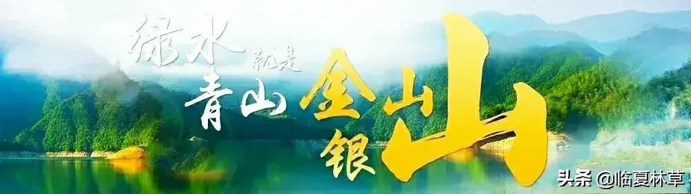 【林草文化】科普篇‖一枝娉婷秀春光，芬芳满溢郁金香（一树意思解释）