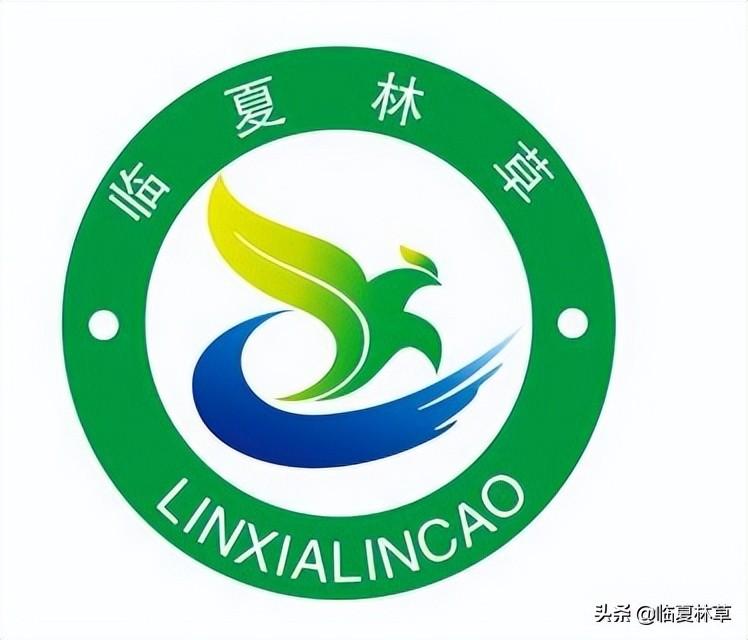 【林草文化】科普篇‖一枝娉婷秀春光，芬芳满溢郁金香（一树意思解释）