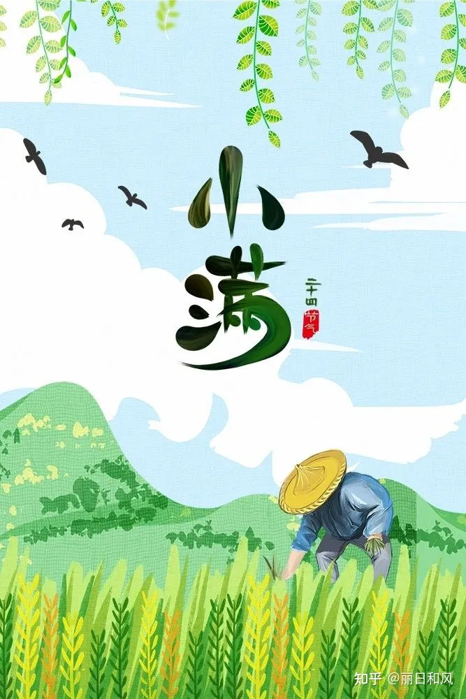 今天是小满节气，24节气你都了解哪些？-小满这个节气