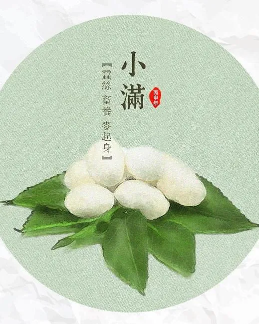 二十四节气之小满，你了解吗？-二十四节气表顺口溜