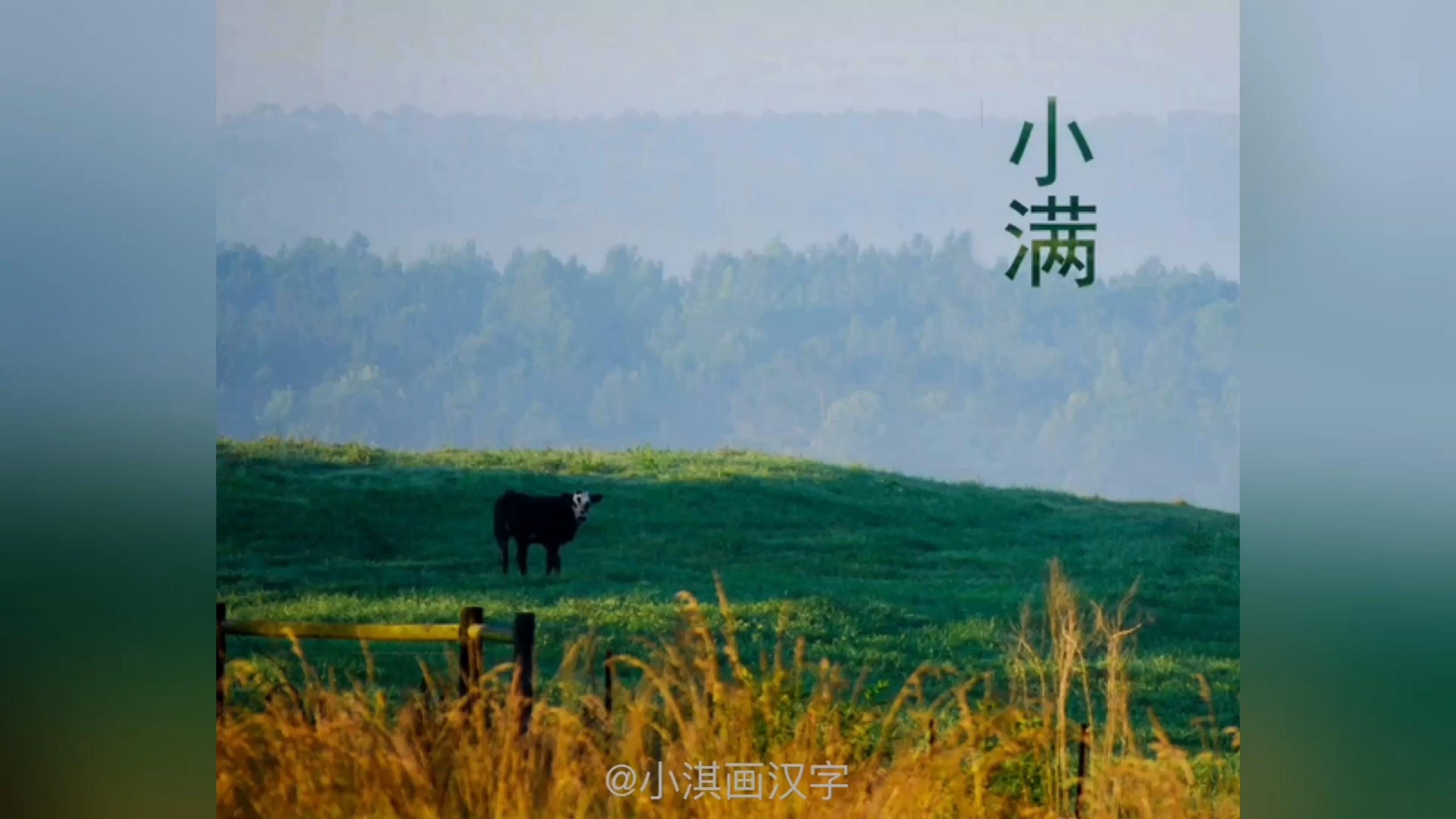 讲给孩子的二十四节气：小满-二十四节气之小满介绍