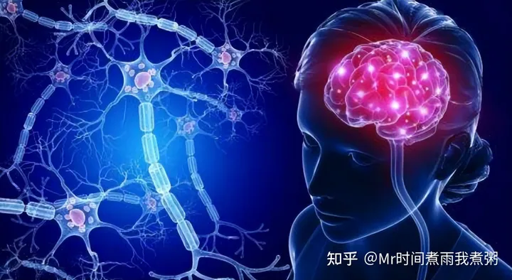 学生补脑保健品排行榜前十名：学生增强记忆力吃什么？看专家怎么说~（学生用什么健脑保健品好）