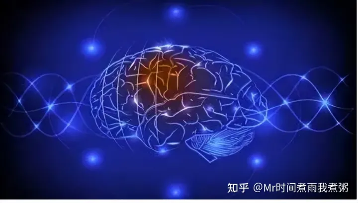 学生补脑保健品排行榜前十名：学生增强记忆力吃什么？看专家怎么说~（学生用什么健脑保健品好）