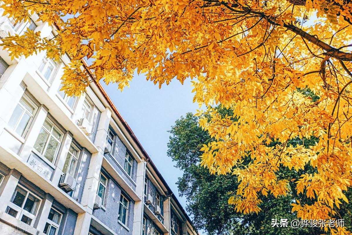 师范大学前20名是谁？实际上还可分为8档，毕业后就业成问题吗？（师范大学前五名）