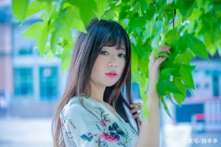 你的微信头像，暴露了你的真实人品-你的微信头像,暴露了你的真实人品英文