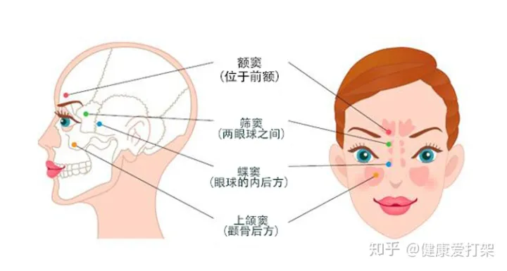 鼻窦炎的治疗方法有哪些（鼻窦炎治症状）