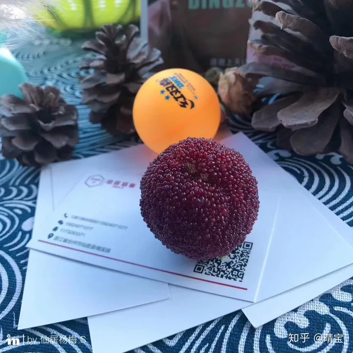 今天告诉大家杨梅是有什么功效（杨梅有什么功效啊）