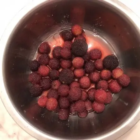 舌尖上的端午 超级好吃的杨梅果酱（杨梅酱的功效与作用）
