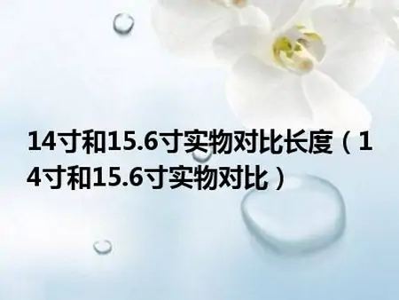 14寸和15.6寸实物对比长度（14寸和15.6寸实物对比）（14寸的和15.6寸的差多少）