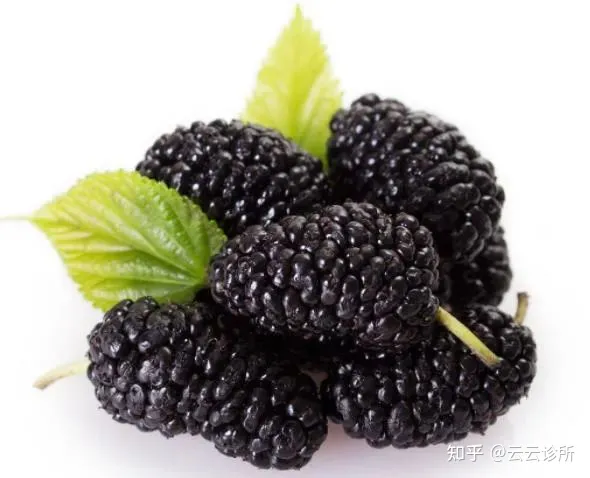 桑葚有哪些功效（中药中的桑椹有什么作用）