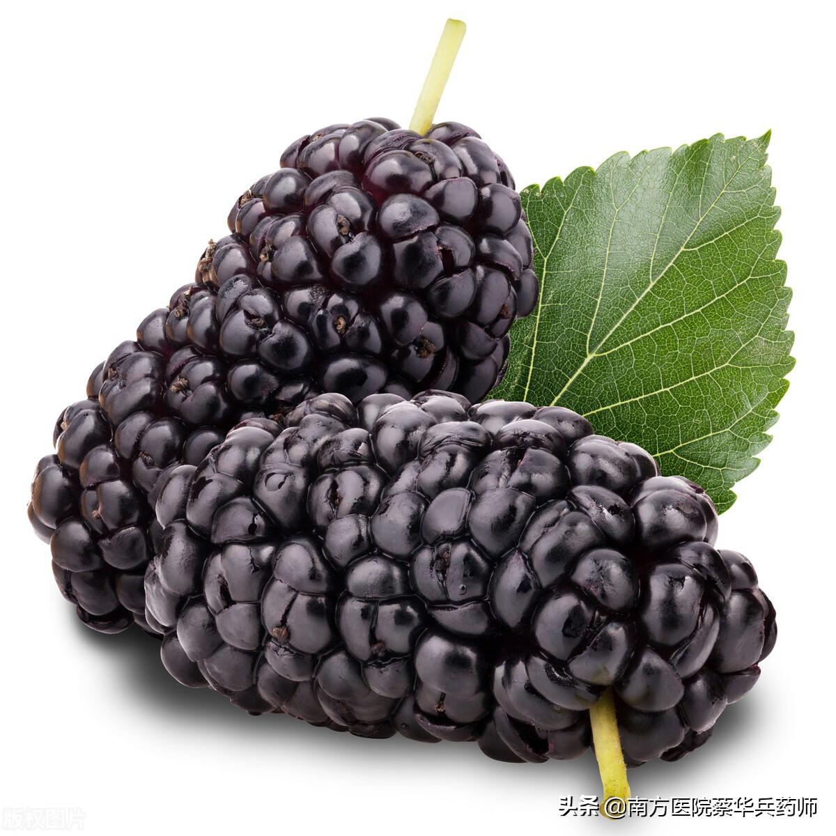 桑葚能补肾，吃错反伤身！中药师告诉您桑葚的正确食用方法与禁忌（桑椹补肾如何食用效果好）