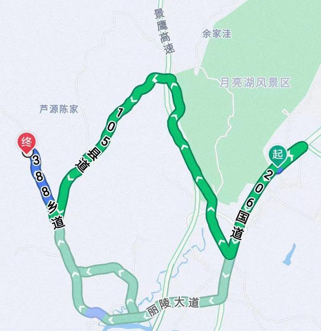 【公益惠农】江联的桑葚熟了（惠民公益人员招聘2020）