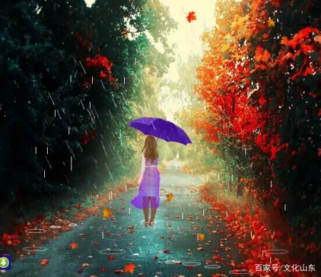 诗集《在农历—二十四节气歌》之《雨水》、《雨中》（组诗）（24节气雨水诗配画）