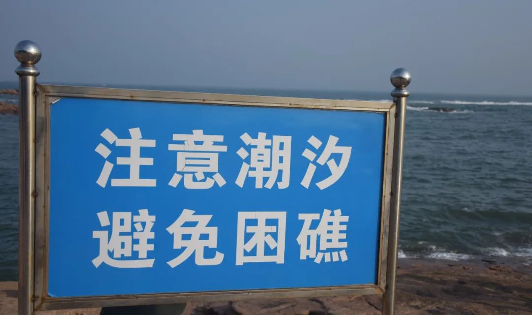 山鸟与鱼不同路-山鸟与鱼不同路,再见容易再见难