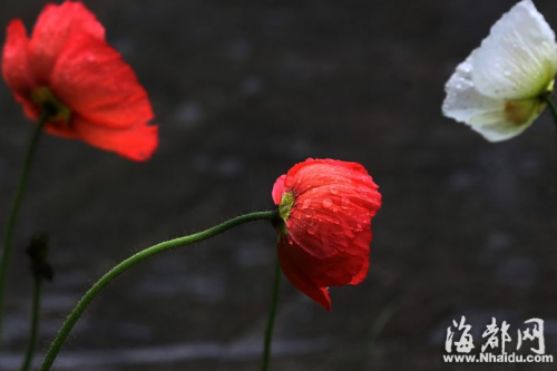 妈妈对孩子的寄语 六一儿童节爸爸妈妈给孩子的祝福语寄语大全-妈妈对孩子的儿童节寄语简短