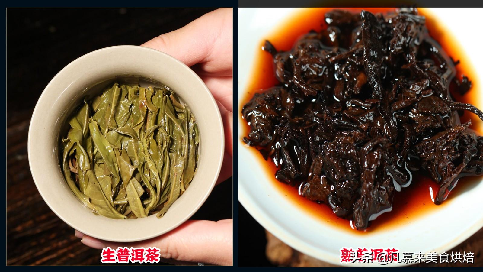 一文读懂普洱茶，生普洱茶和熟普洱有什么区别？12种普洱茶简介（生普洱茶与熟普洱茶）