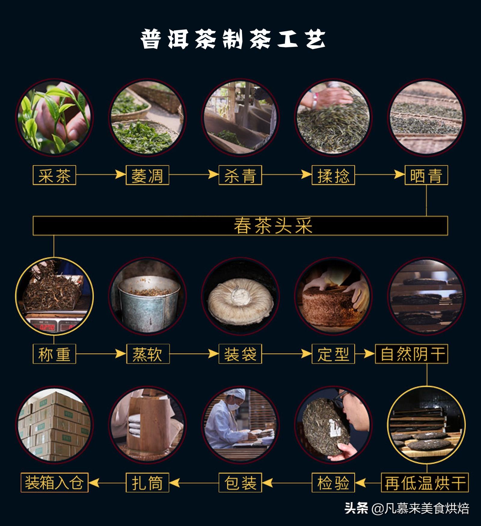一文读懂普洱茶，生普洱茶和熟普洱有什么区别？12种普洱茶简介（生普洱茶与熟普洱茶）