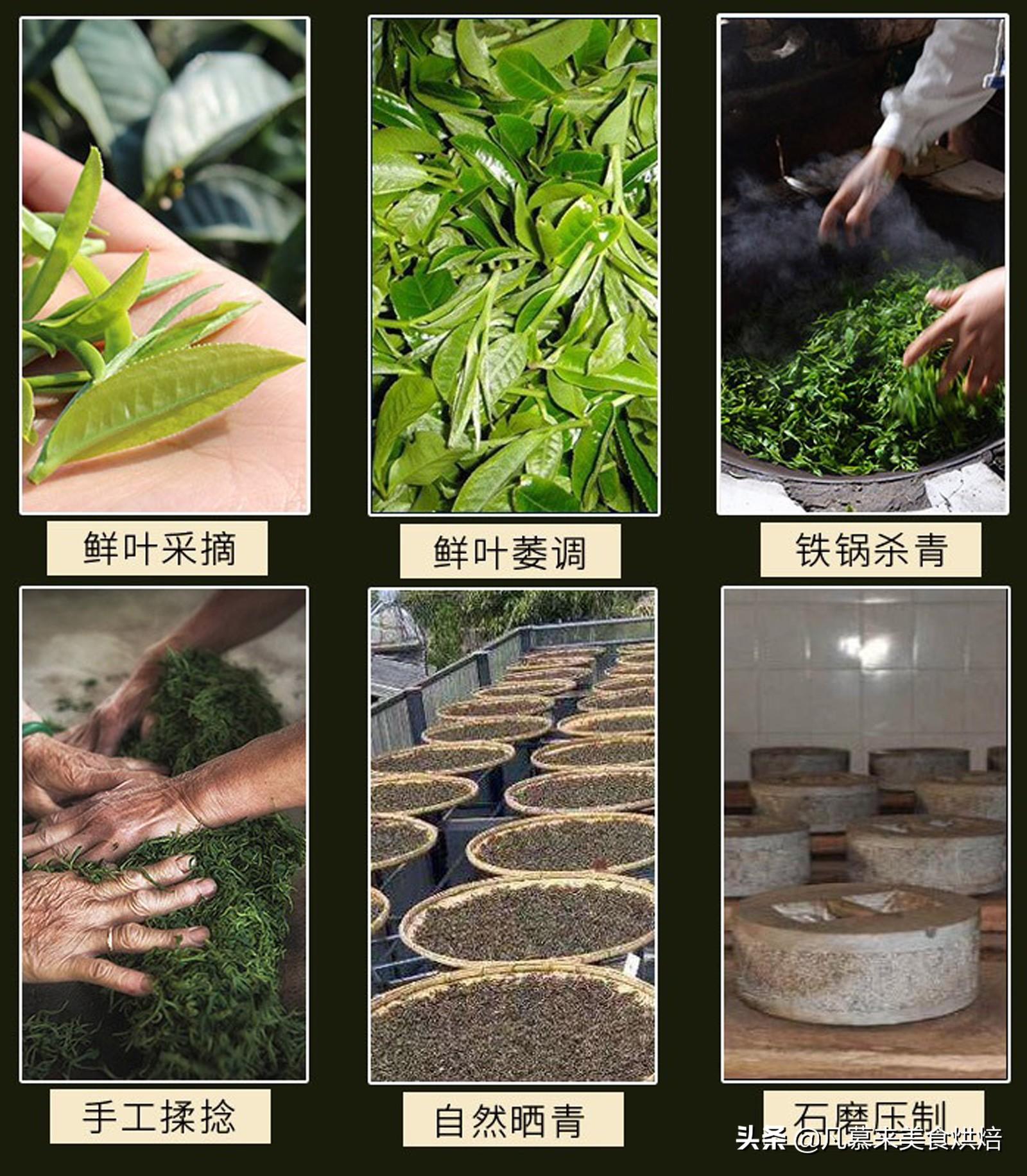 一文读懂普洱茶，生普洱茶和熟普洱有什么区别？12种普洱茶简介（生普洱茶与熟普洱茶）