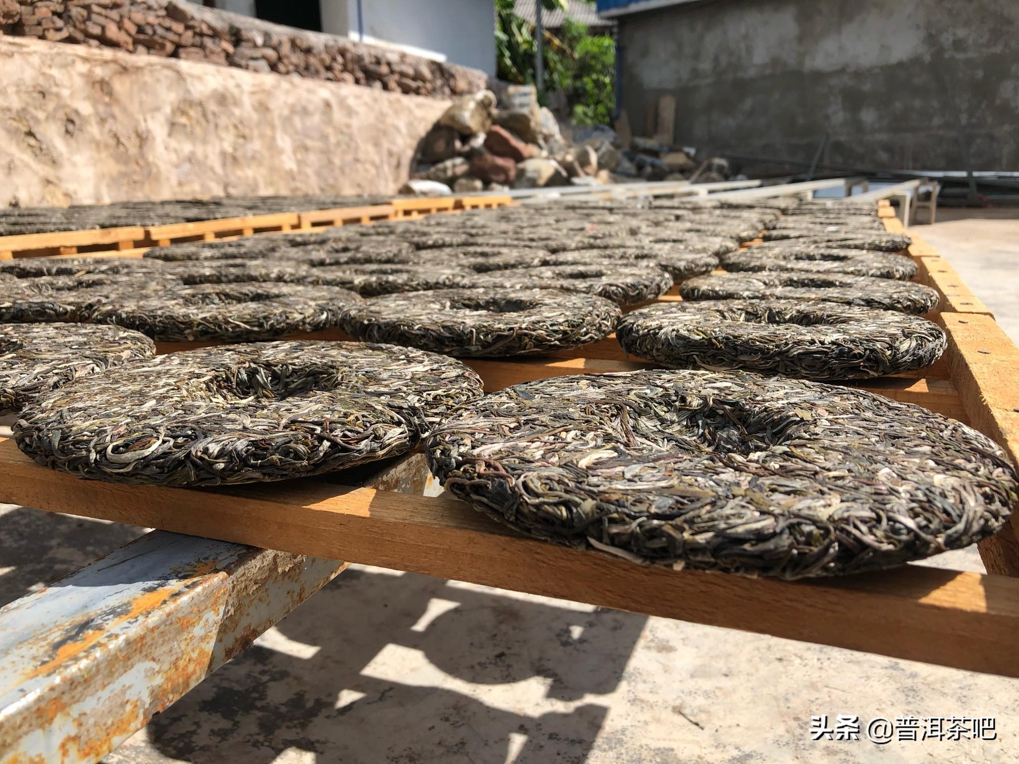 ‖普洱茶生茶和熟茶的区别，别在傻傻分不清楚了（普洱茶的生茶和熟茶有什么区别）