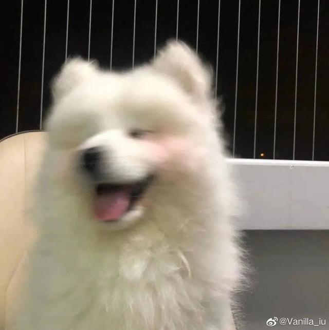 微信头像，还有这么个功能-微信头像新功能怎么用不了