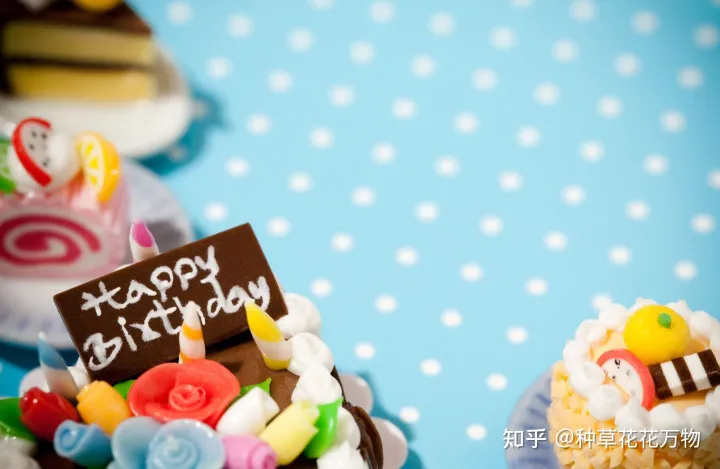 特别暖心的生日祝福语（精选70句）（一句暖心的生日祝福短语图片）