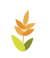 芒种丨愿你的忙，不慌不茫（愿你忙中有闲）