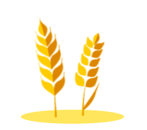 芒种丨愿你的忙，不慌不茫（愿你忙中有闲）