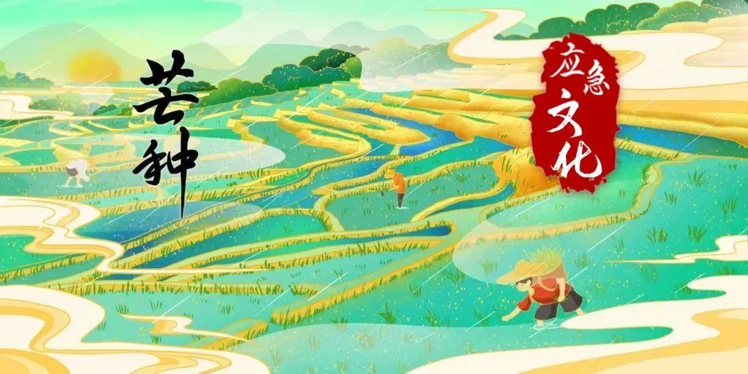 芒种：忙有所得 种有所获（忙有所获累有所得的成语怎么说）