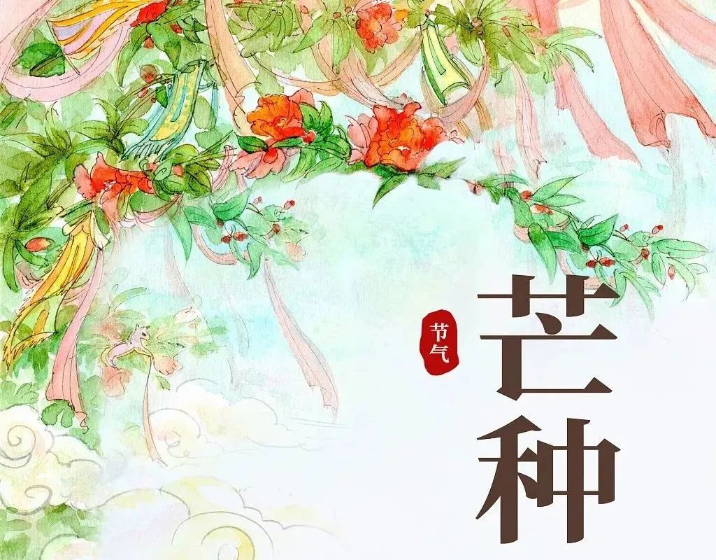 芒种：忙有所得 种有所获（忙有所获累有所得的成语怎么说）