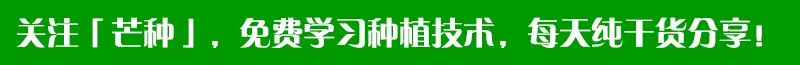 怎样杀灭芦苇草、牛筋草、白茅恶性杂草？一招见效（杀芦苇最好的除草剂是什么药）