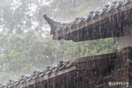 6月6日芒种，芒种当天下雨好还是天晴好？看老祖宗留下的农谚咋说（芒种的三大忌讳）