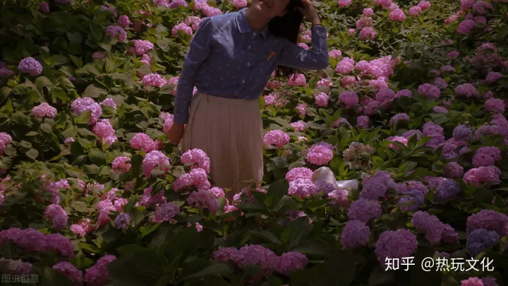 爱的花语之郁金香-郁金香代表爱情的诗句有哪些