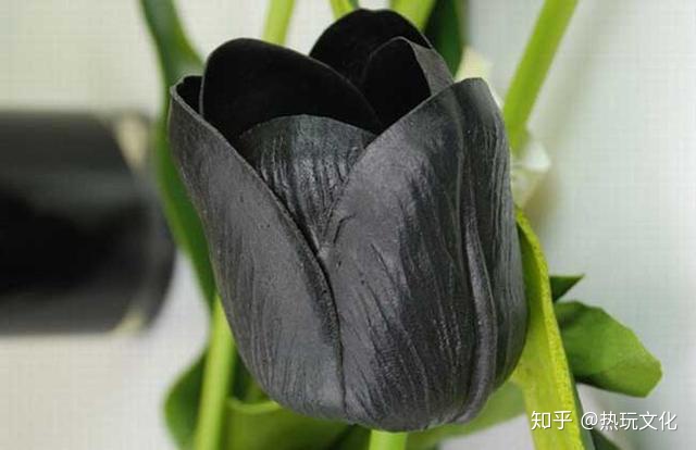 爱的花语之郁金香-郁金香代表爱情的诗句有哪些