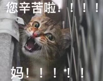 【母亲节表情包大全】夸妈妈 | 母亲辛苦了 | 妈妈我爱你（母亲节表情包搞笑抖音版）
