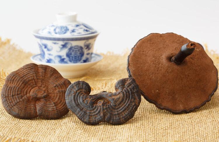 癌症患者能吃灵芝孢子粉吗？被捧上天的2种保健品，其实不抗癌（癌症患者能喝咖啡吗?）