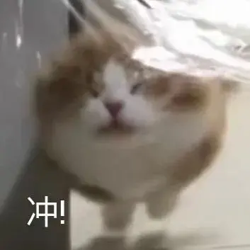适合端午节发的朋友圈文案来啦~-关于端午节发朋友圈文案