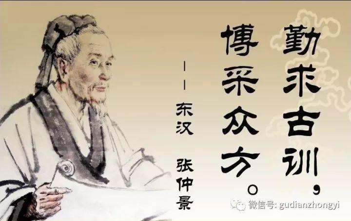 被誉为“四时神药”的茯苓，究竟神在哪里？（中药茯苓神的疗效和作用）