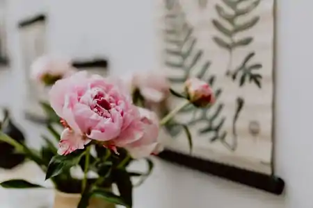 可发朋友圈的励志句子，句句舒心，温暖心灵-适合发朋友圈的励志说说