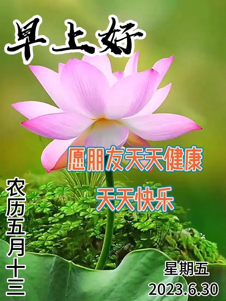 6月30日｜星期五早上好！新的一天，新的问候祝福，早安图片-江陵县社区