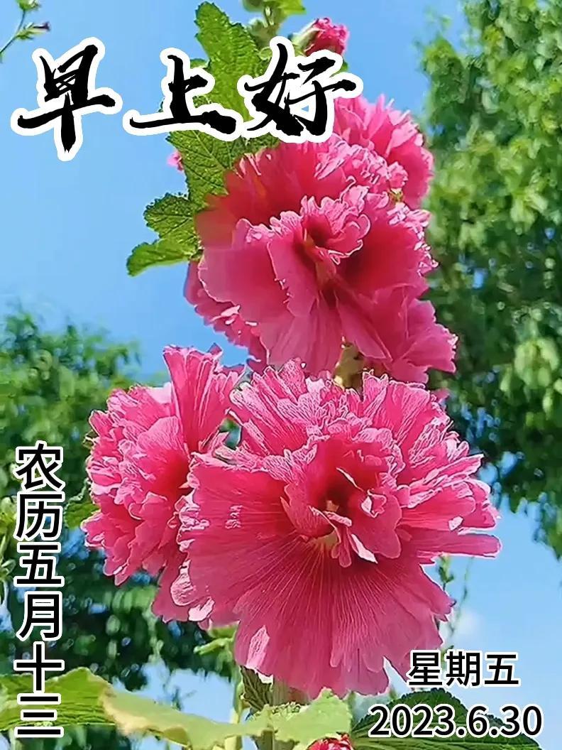 6月30日｜星期五早上好！新的一天，新的问候祝福，早安图片-江陵县社区