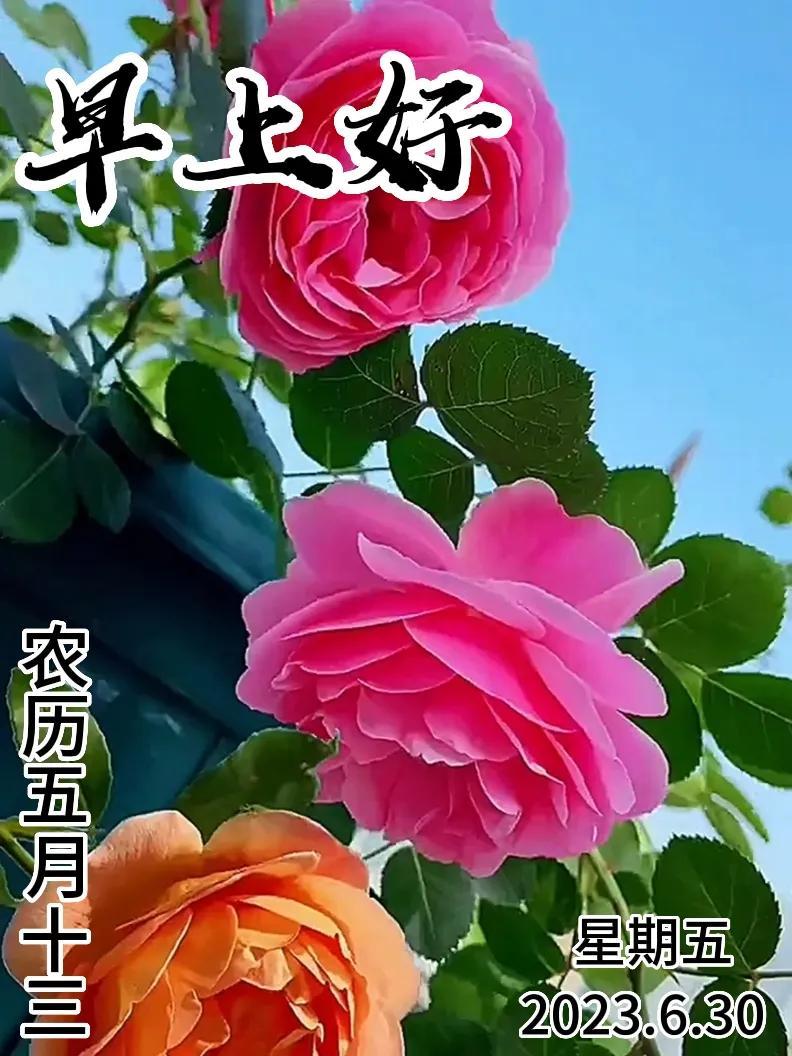 6月30日｜星期五早上好！新的一天，新的问候祝福，早安图片-江陵县社区