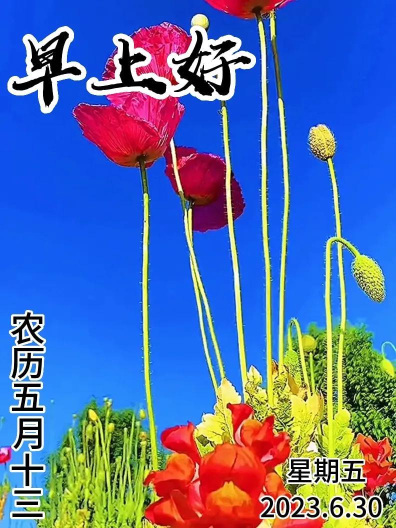 6月30日｜星期五早上好！新的一天，新的问候祝福，早安图片-江陵县社区