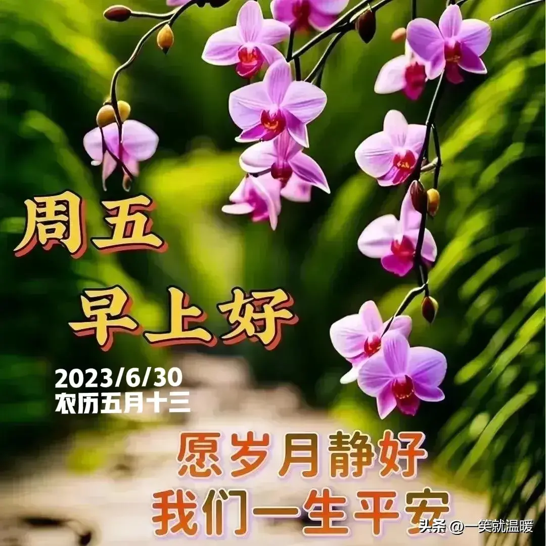 6月30日早安祝福问候图片，周五快乐早晨，平安健康-2021年6月30日早上好